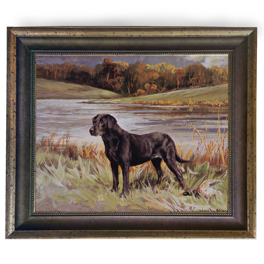 Madison Bay Co. - Historical Home Decor Reproductions - Wholesale Art Print - Labrador Retriever with Duck Framed Painting Print on Canvas43