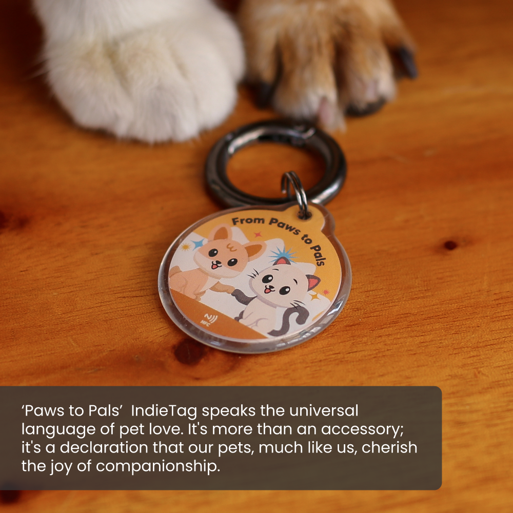 Pawnec - Wholesale Pet Identification Tag - Cat/Dog - IndieTag "Glow n Go"1