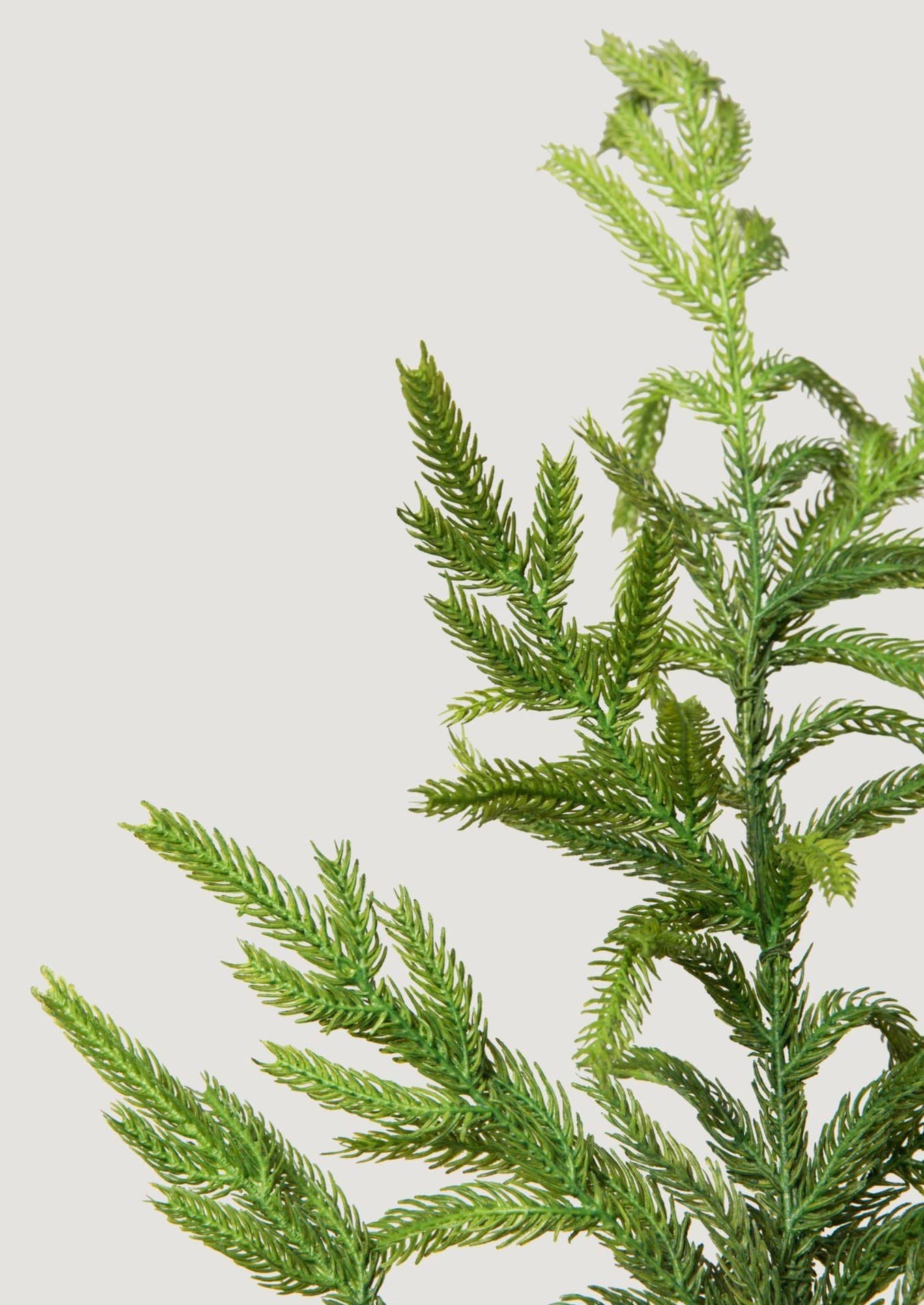 Afloral - Wholesale Artificial Plant - Afloral™ Real Touch Norfolk Pine Branch - 36"2