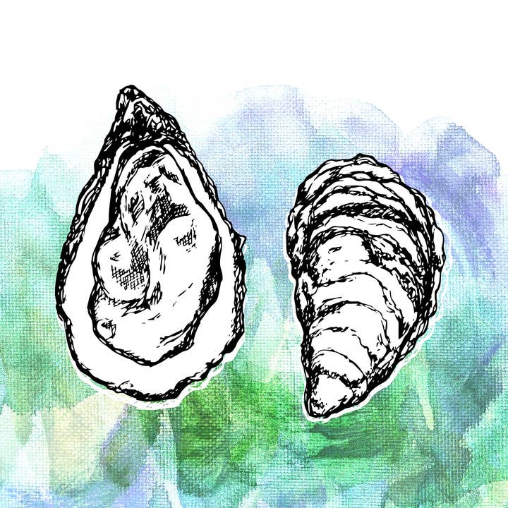 Jeanelle Demers - Wholesale Art Print - Oyster Shell Art Print, Green 8x10"1