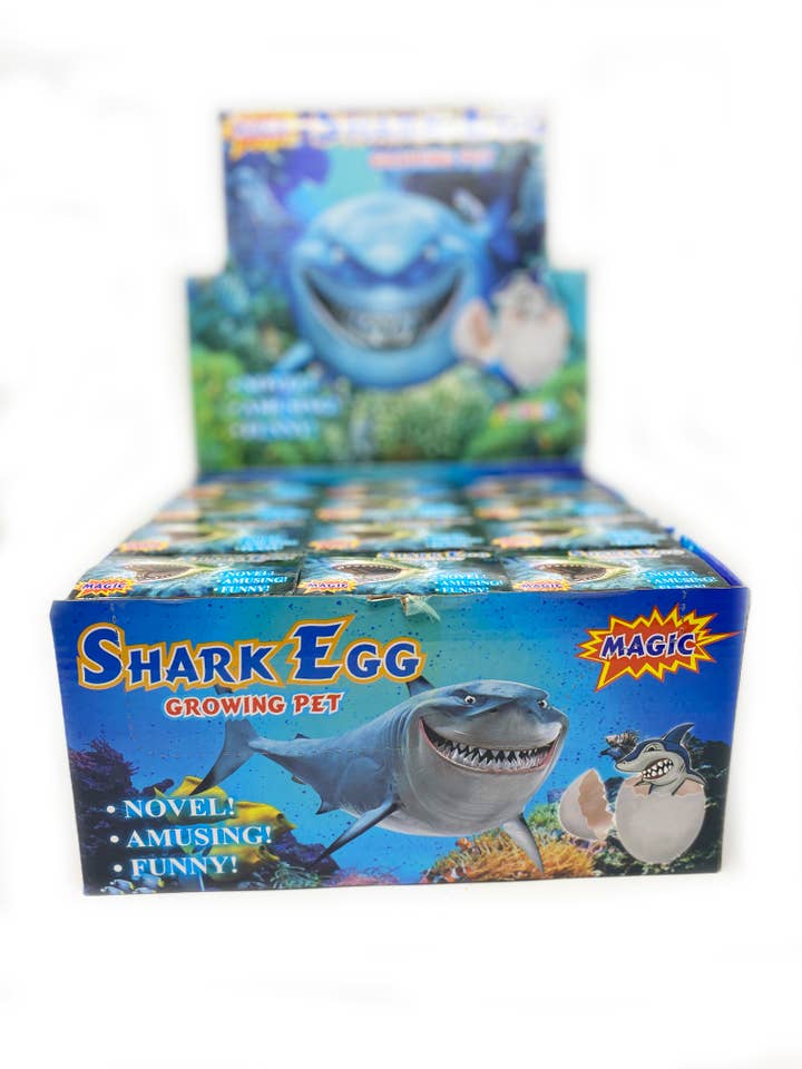 Voksende Kæledyr Klækkende Hajæg - Detailpakke for engroshandel hos Perfect Holiday