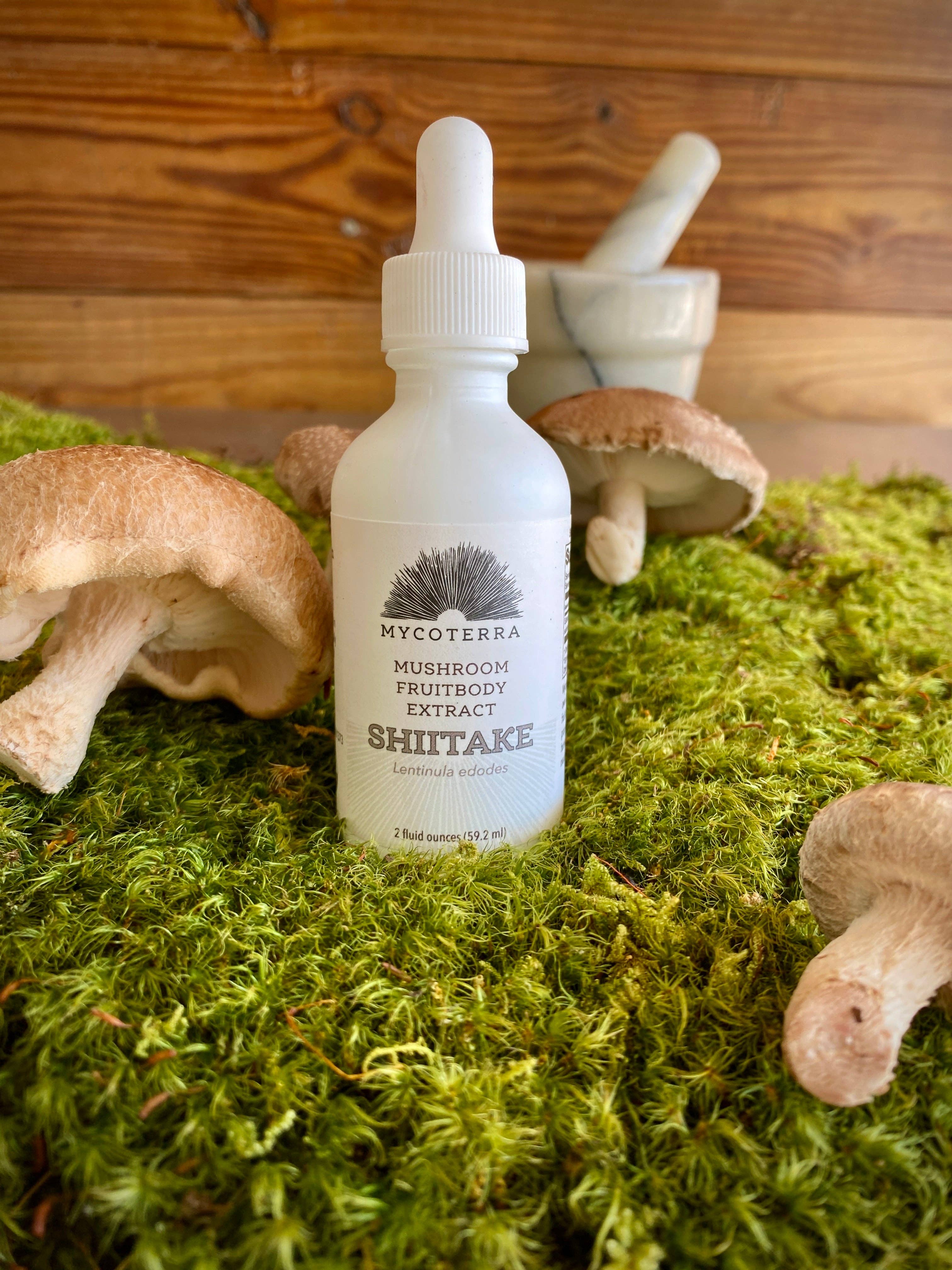 Mycoterra Farm - Vente Supplément oral/vitamine - Teinture de champignon shiitake biologique 60 ml.0