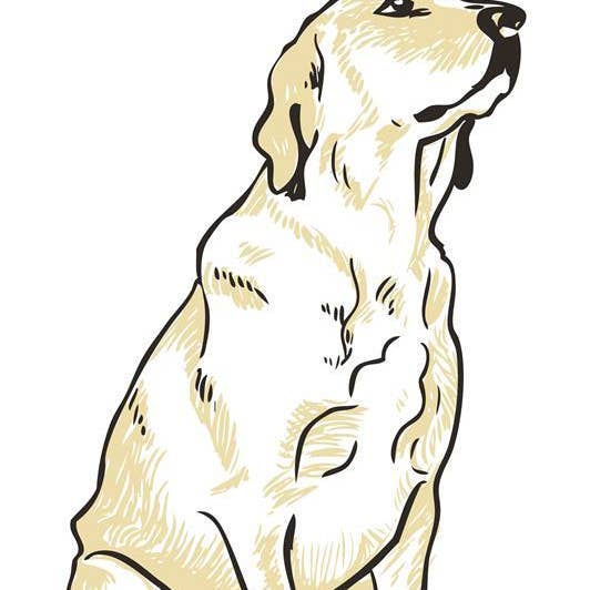 RAN-65 Labrador Retriever, impression artistique blanche pour la vente par Rigel Paper