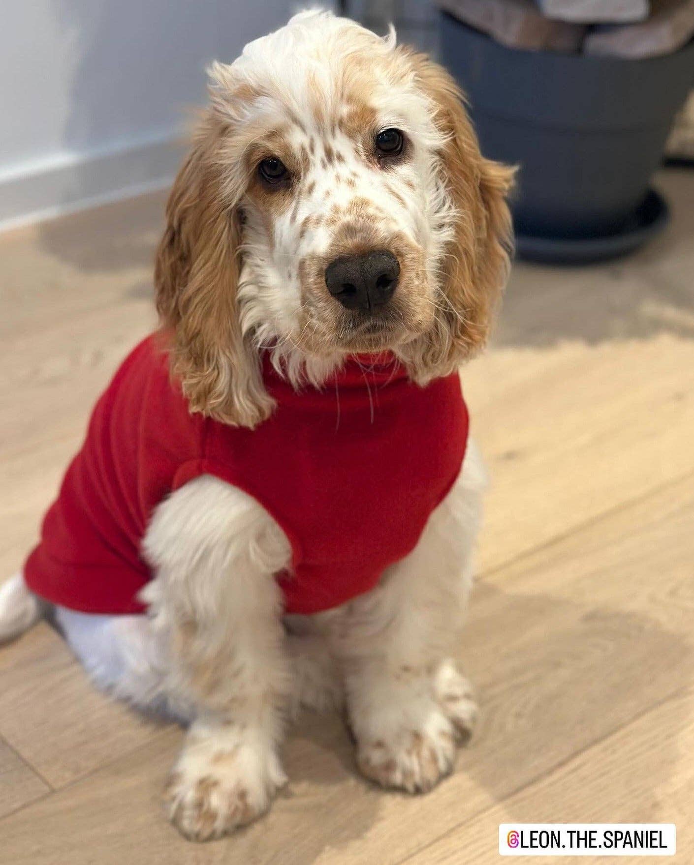 Doghouse – Großhandel Haustier-Pullover – Hund – Fleece-Pullover für mittelgroße Hunde12