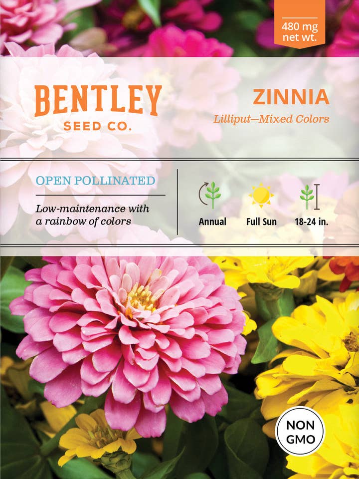 Zinnia, Lilliput Seed Packets for wholesale by Bentley Seed Co.