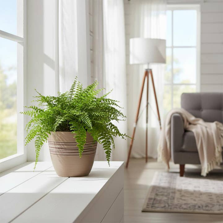 Greenship Garden USA - Wholesale Plant Pot - GreenShip Hand Carved Band Planter, W. 12.21"x H. 10.05"4