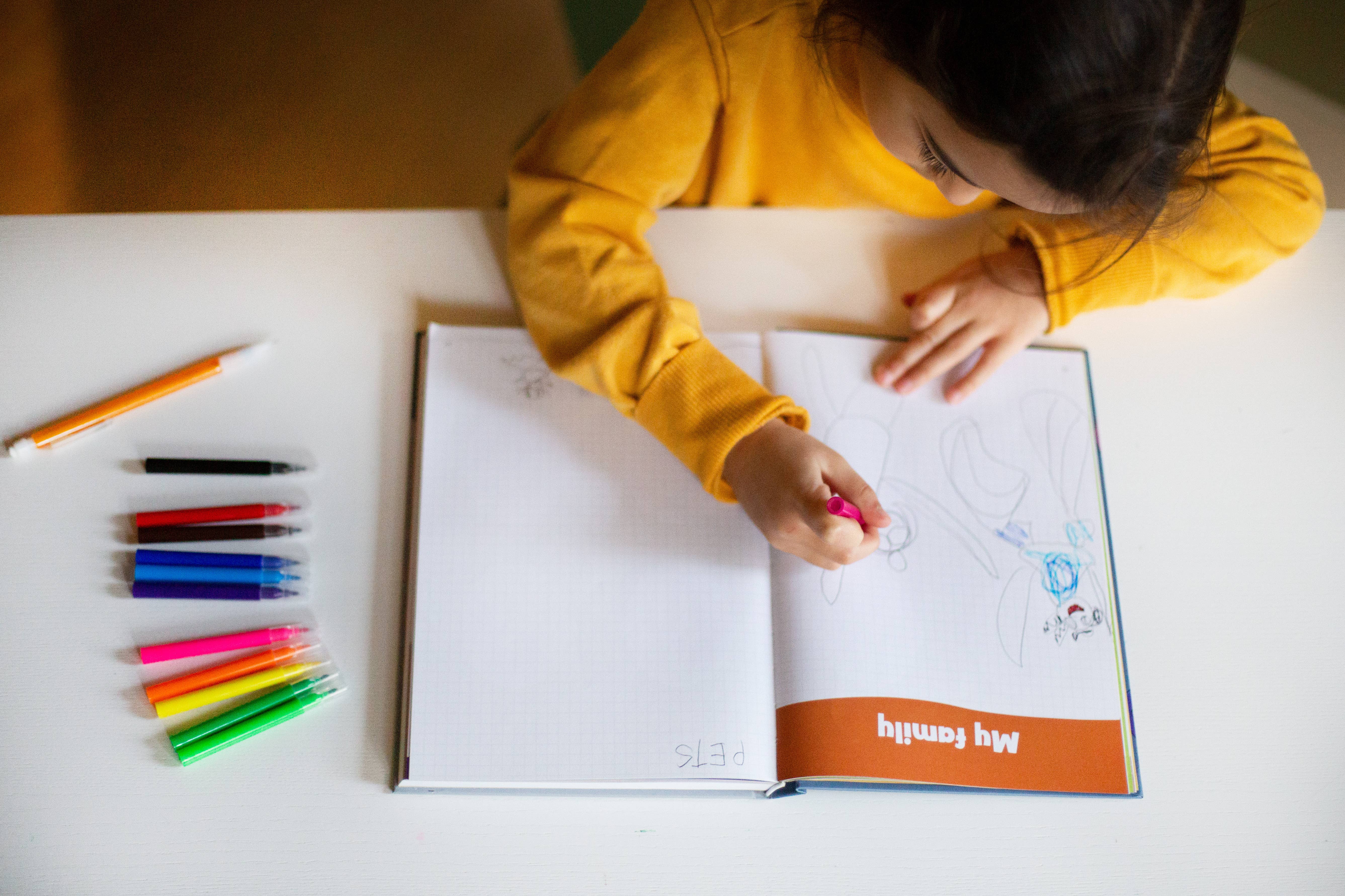 FeelLinks - Wholesale Journal/Diary - Kids - FeelLinks Emotion Set | SEL Tools & Feelings Journal12