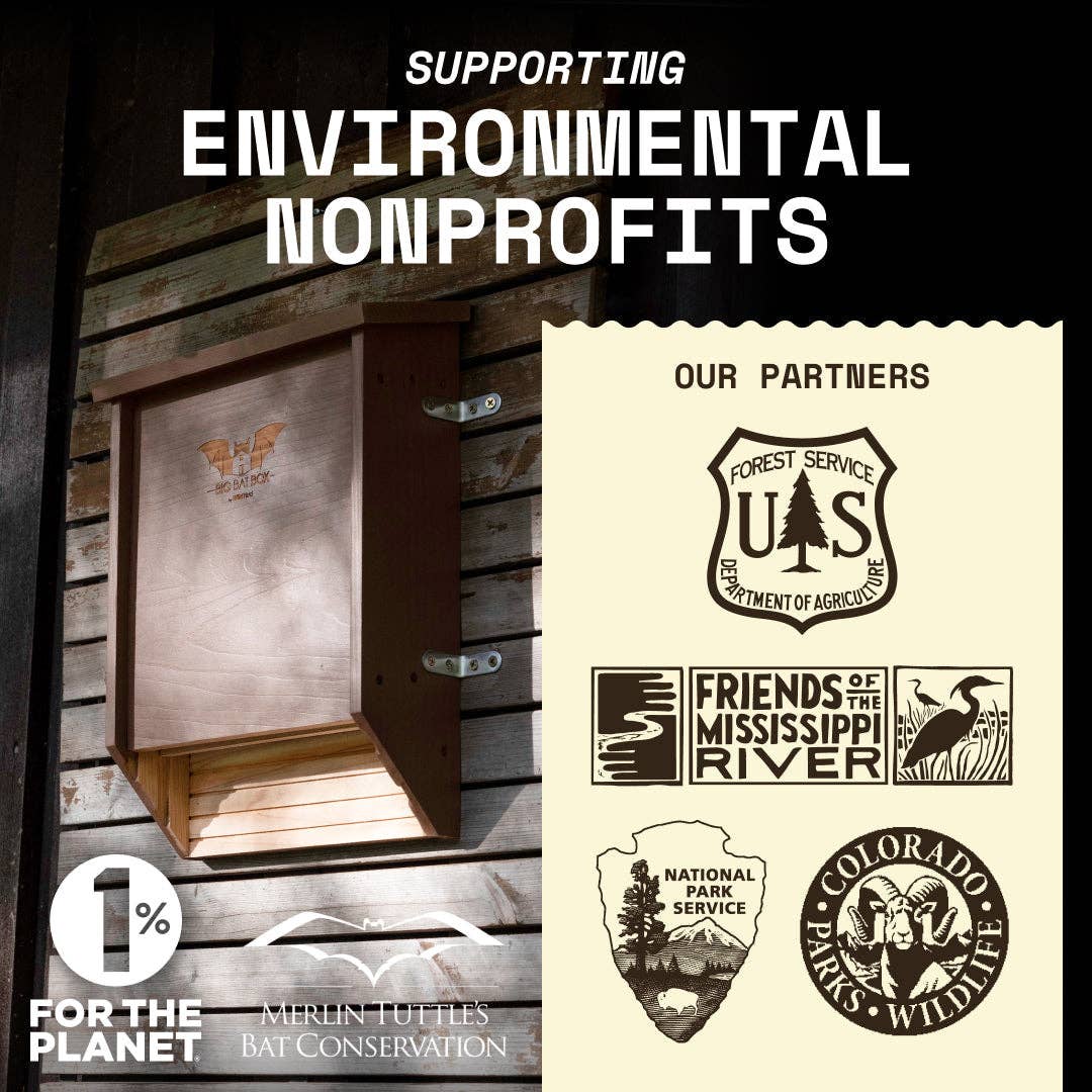 Big Bat Box – wholesale Bird house – Two-Chamber Bat House (Black)7