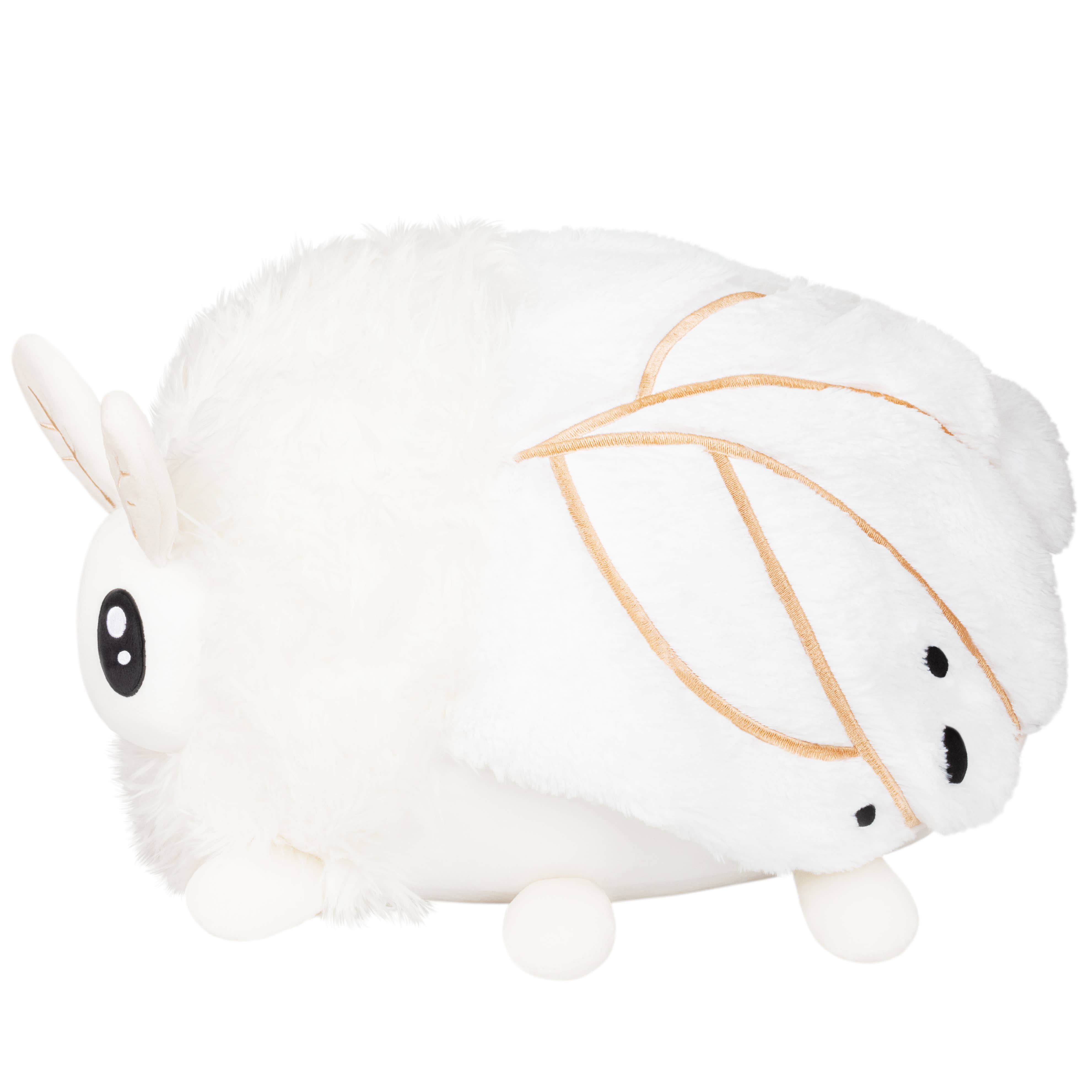 Squishable EU - Vendita all'ingrosso Peluche - Bambini e neonati - Falena barboncino squishable1