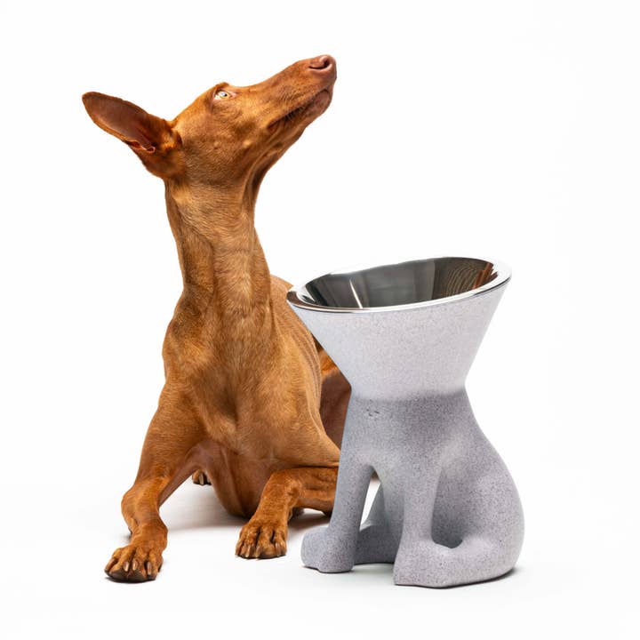 United Pets – tigela - Gato e cão por atacado – Elizabeth: taça elevada para cães21