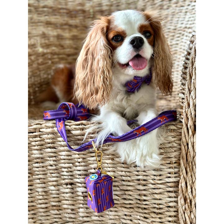 Covey Collection - Wholesale Pet Leash - Dog - Tiger Leash3