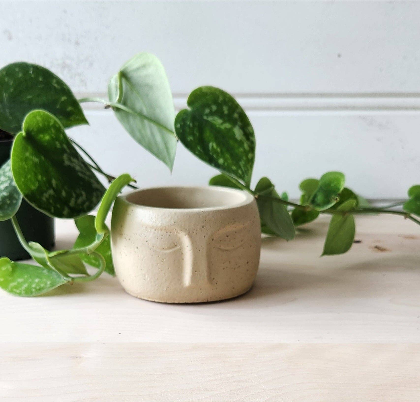 Plant 'er Here - Wholesale Plant Pot - Nordic Face Planter1