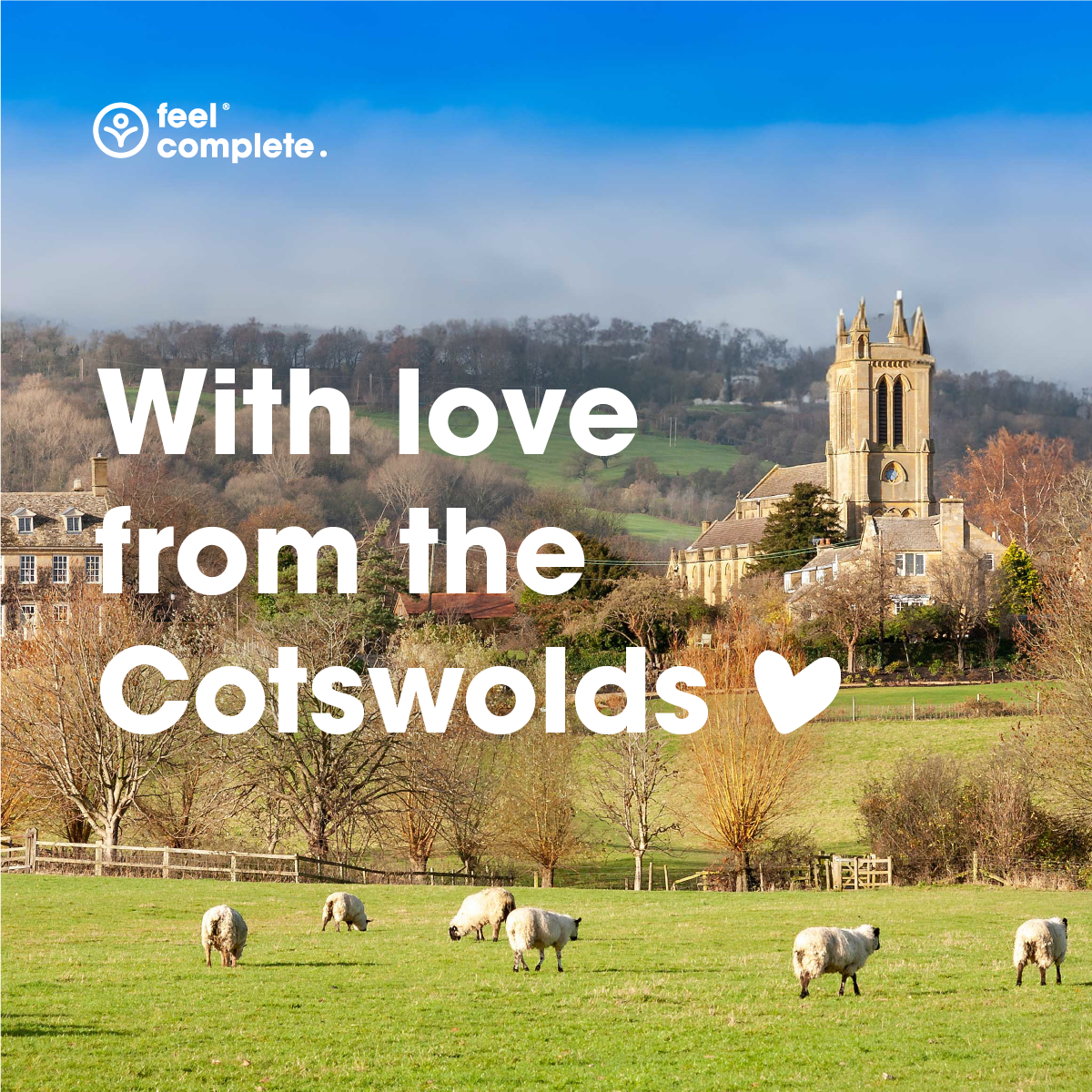 Feel Complete - Wholesale Protein/Superfood Powder - Skin Collagen10