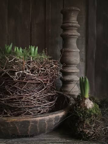 Houten deco bordje nestje Hyacinten L02 voor wholesale door Nino-Art