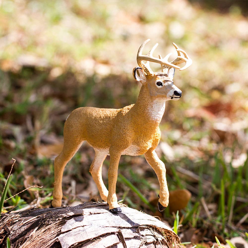 Safari Ltd. - Wholesale Figurine Toy - Kids - Whitetail Buck - 1135896