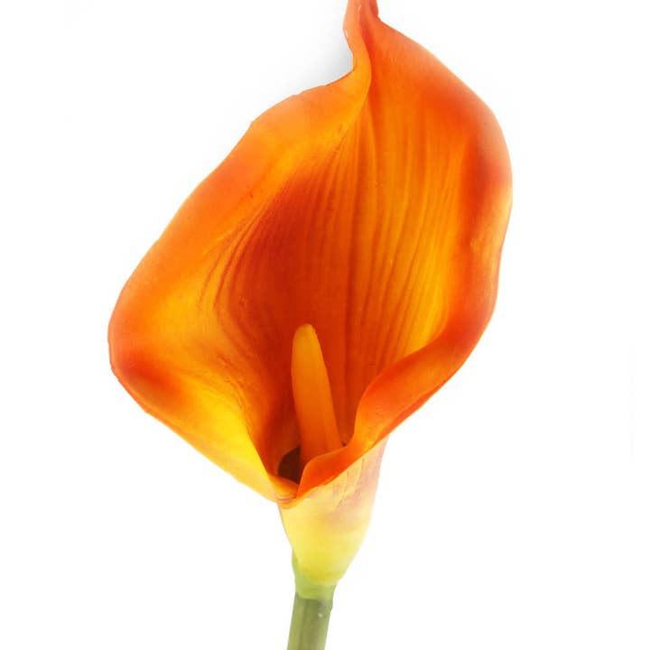 Closer2Nature – wholesale Artificial flowers – Artificial 94cm Single Stem Orange Calla Lily3