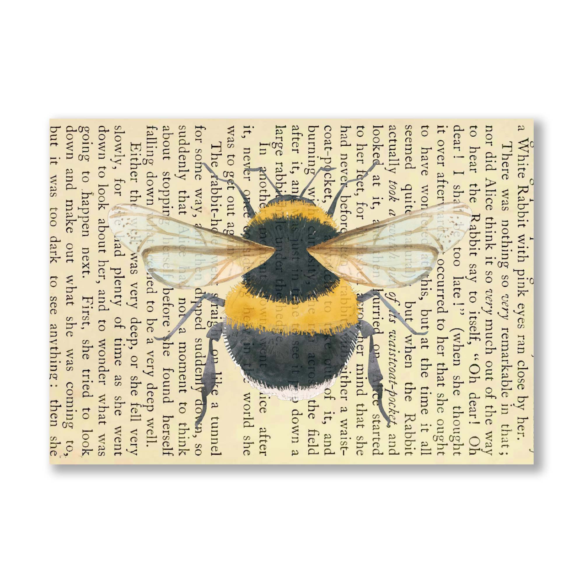 Cecelia Rose Book Page Art - Vendita all'ingrosso Stampa artistica - Stampa artistica ad acquerello con api0