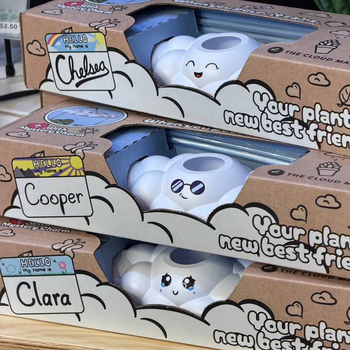 Series 001 Mixed Case for wholesale by The Cloud Makers