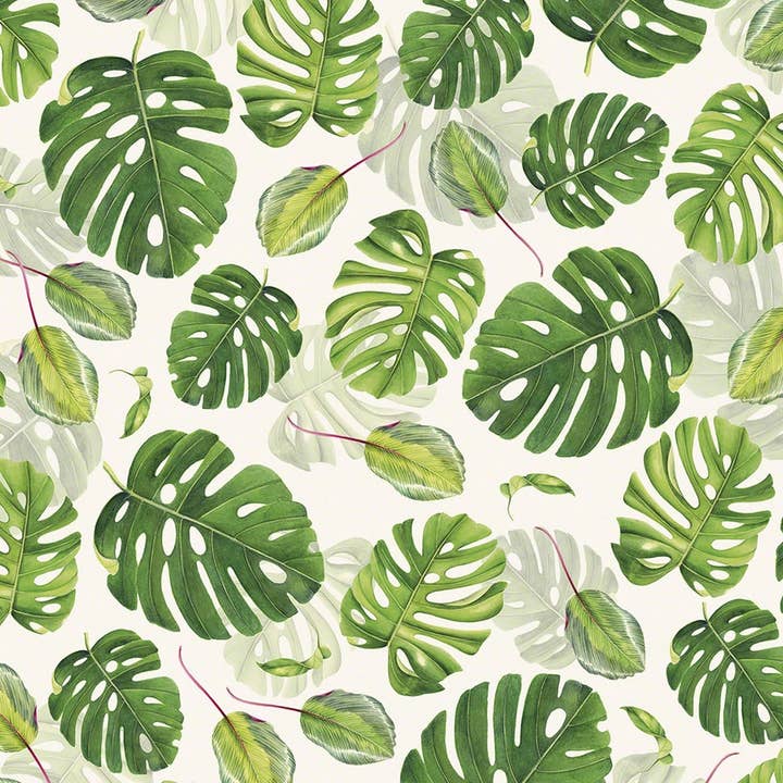 Monstera/Tropiskt lövverk - Förpackningspapper för wholesale av Nelson Line