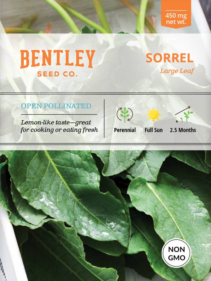 Sementes de Planta Perene de Acedera por atacado de Bentley Seed Co.