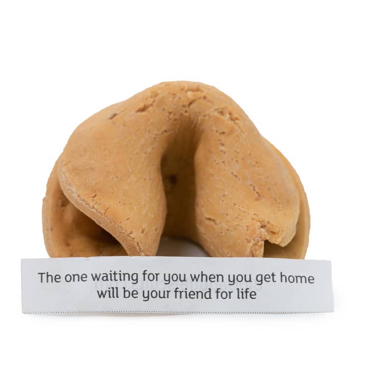 Big Daddy Biscuits - Wholesale Pet Treats - Dog - Fortune Cookies