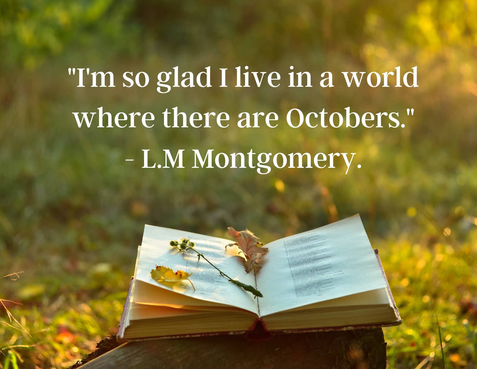 Piles of Postcards - Wholesale Postcard Set - Book Postcard Bundle - Pack of Ten5