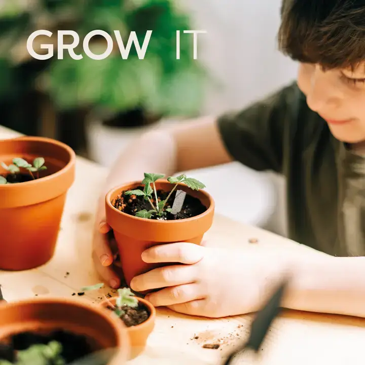 Seedsticks® – wholesale Plant seeds – Desktop Tube Gardens Strawberry3