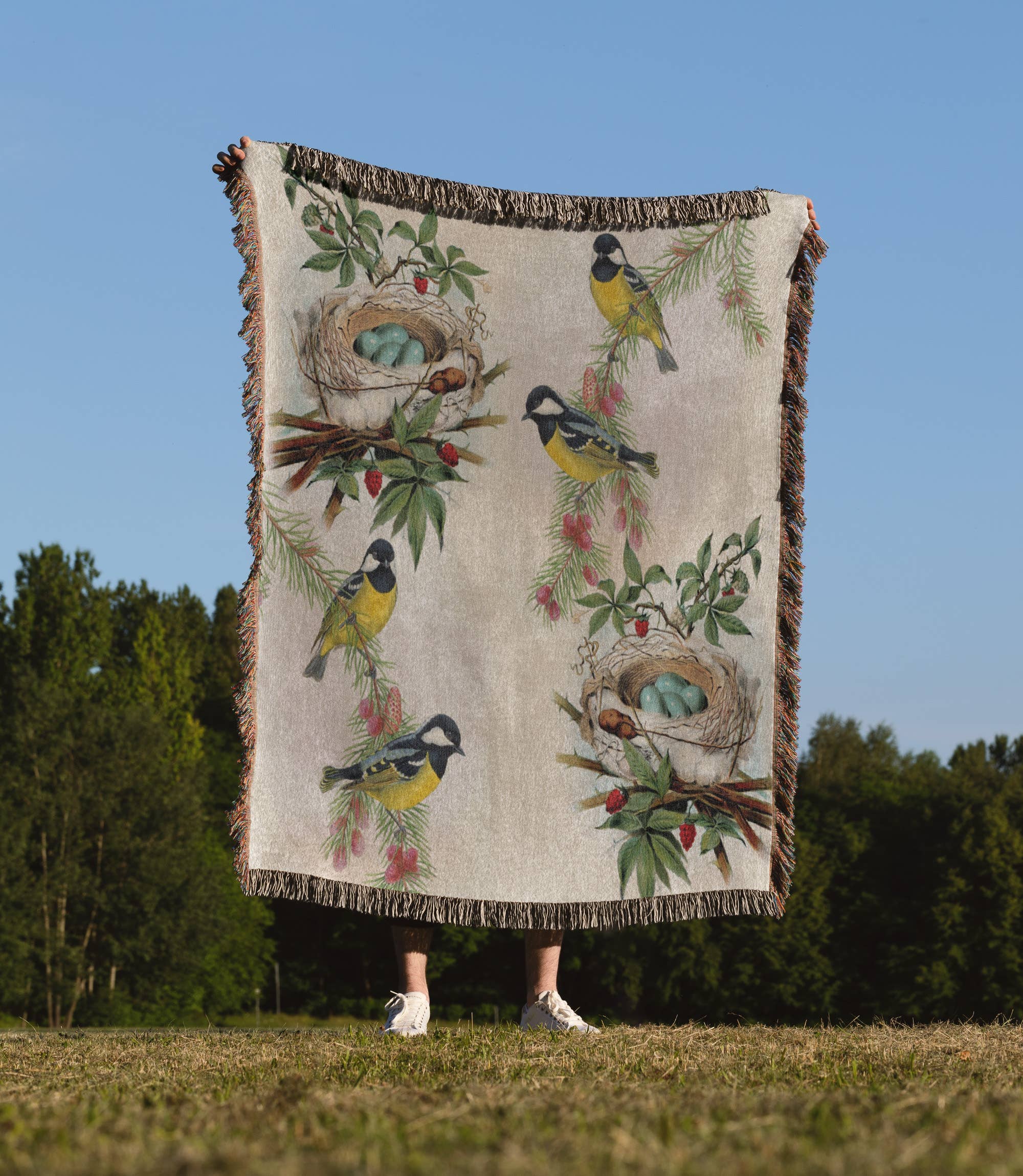 3dRose - Wholesale Throw Blanket - 3dRose, Birds and Nests vintage, Blanket1