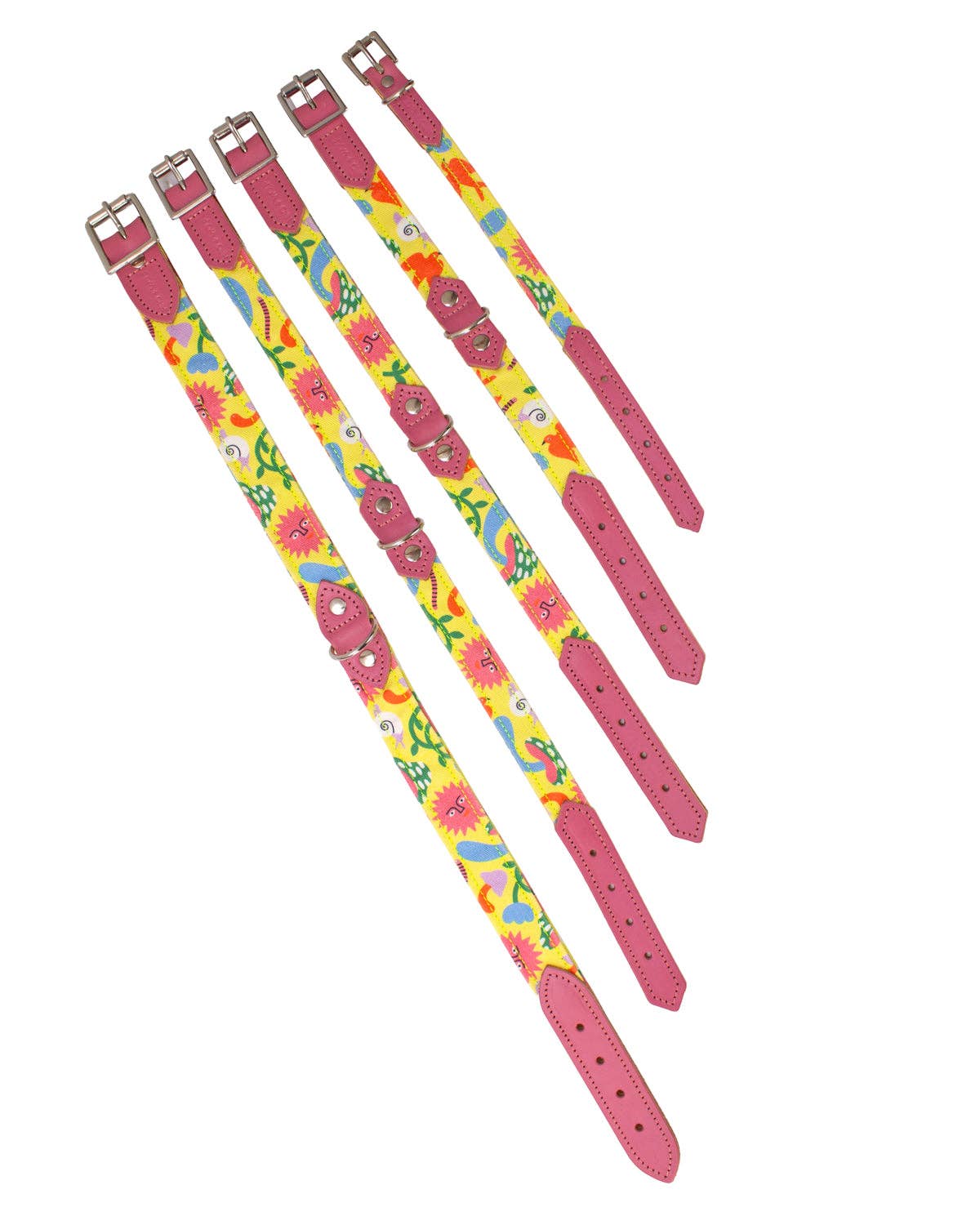 Hiro + Wolf – wholesale Pet collar – Dog – Psychedelic Garden Dog Collar1