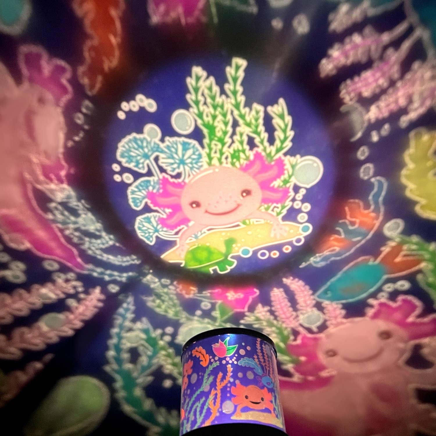 Streamline - Wholesale Night Light - Kids & Baby - Axolotl LED Projection Light2