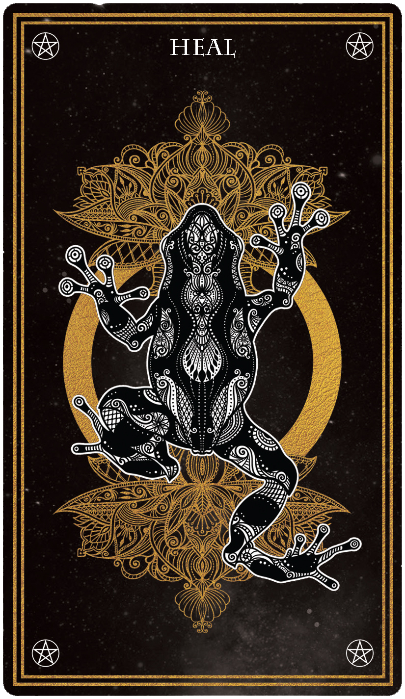 Peter Pauper Press - Vente Carte de tarot/oracles - Deck de cartes Oracle mystique sauvage3