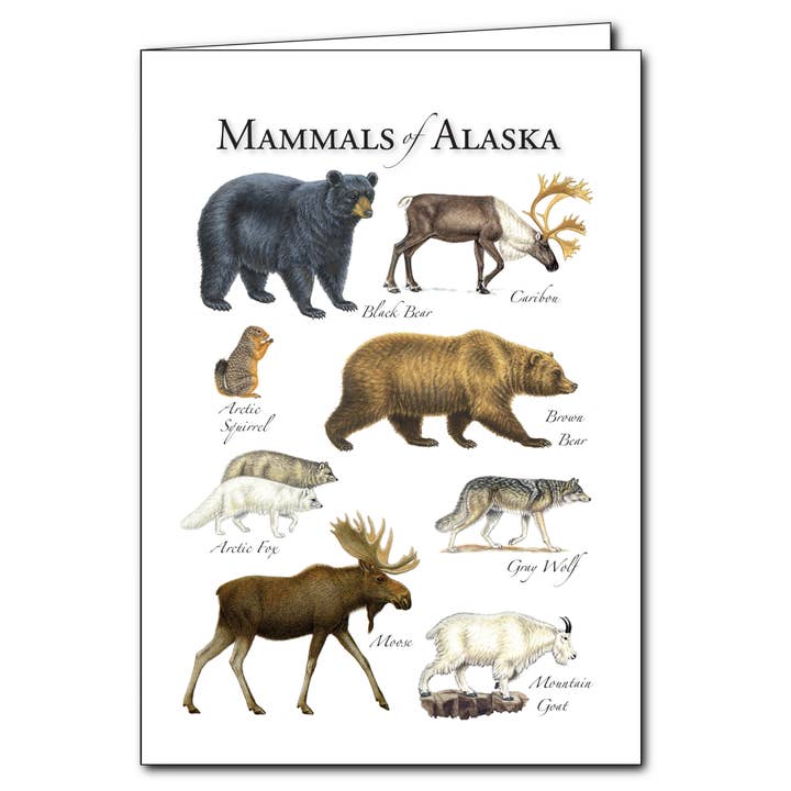 Big Mammals of Alaska for wholesale by Earth Sky + Water