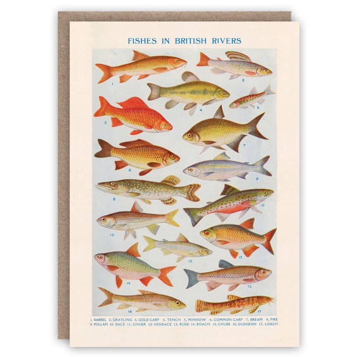 Poissons dans les rivières britanniques pour la vente par The Pattern Book