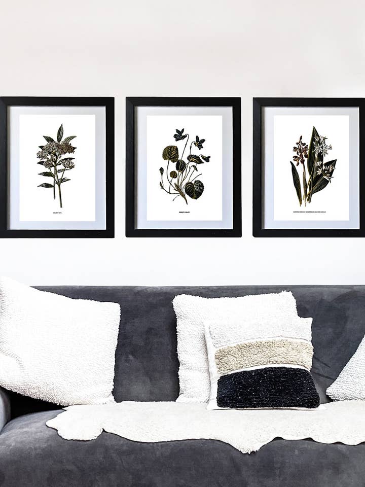 Framed Vintage Botanical Floral Wall Art Prints: Set Of Three for wholesale by Coultura