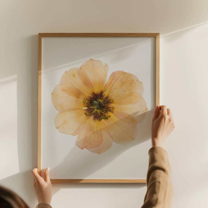 Hope Steinle Pressed Flower Art - Wholesale Art print - Slow Bloom1
