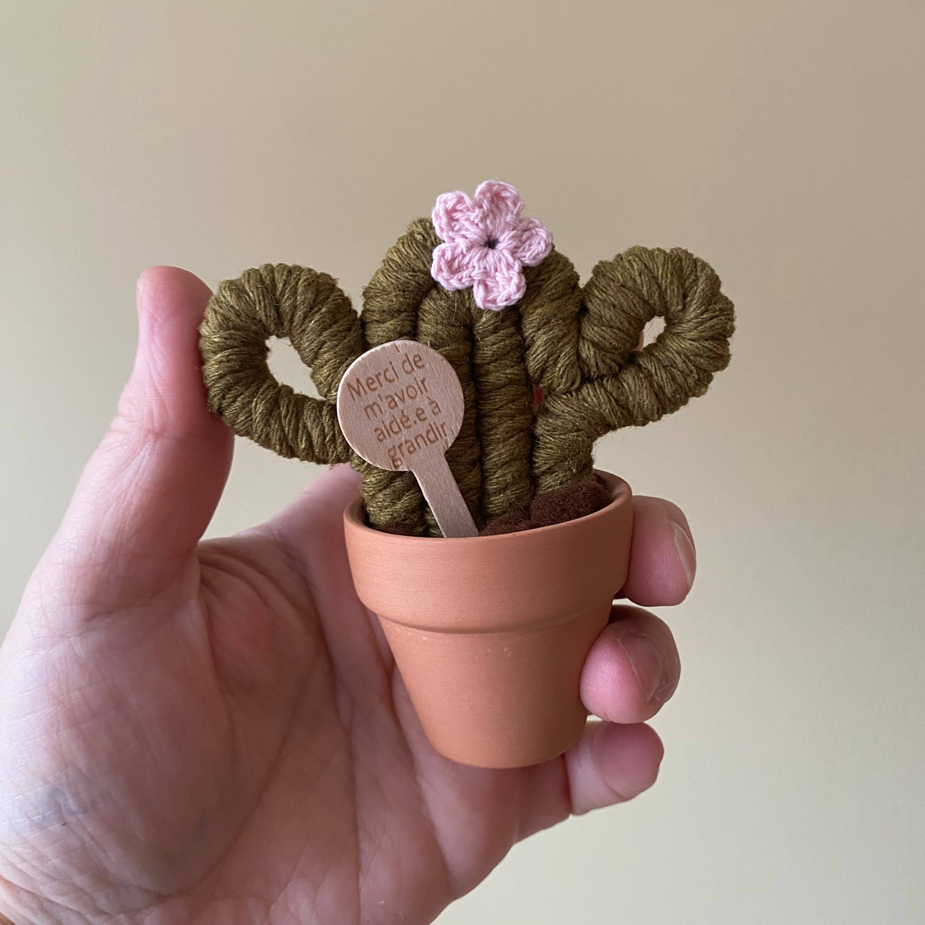 ForgetBKnot - Vente Plantes artificielles - « Tu es fan-cactus » & Merci Cactus en macramé fait main2