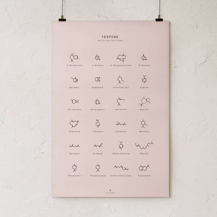 Goldleaf – Großhandel Kunstdruck – Diagramm mit molekularen Terpenstrukturen drucken4