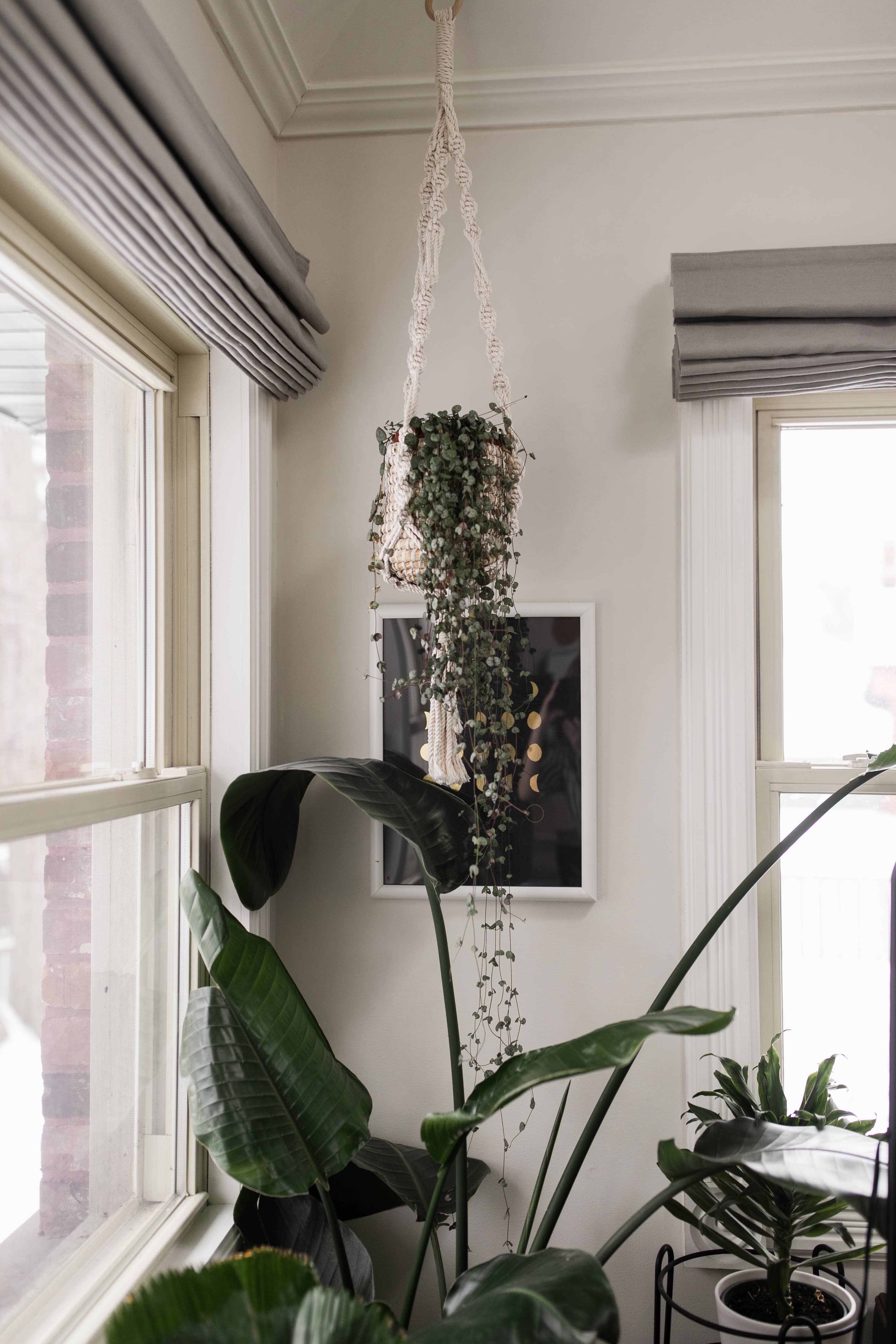 Swell Made Co. – Engroshandel Kunsttryk – Månen Faser Guldfolie Art Print (sort)2