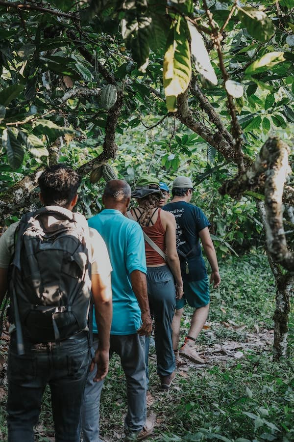 Desnudo Coffee - Wholesale Coffee Beans - BULK DESNUDO DECAF ESPRESSO3