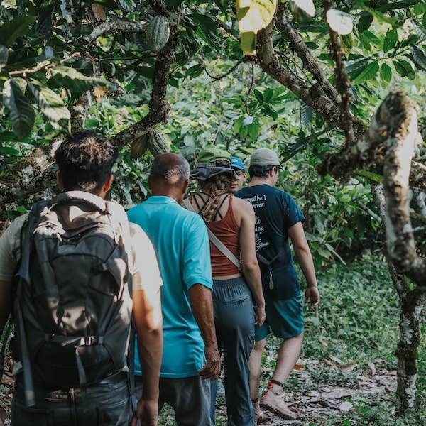 Desnudo Coffee - Wholesale Coffee Beans - BULK DESNUDO DECAF ESPRESSO3