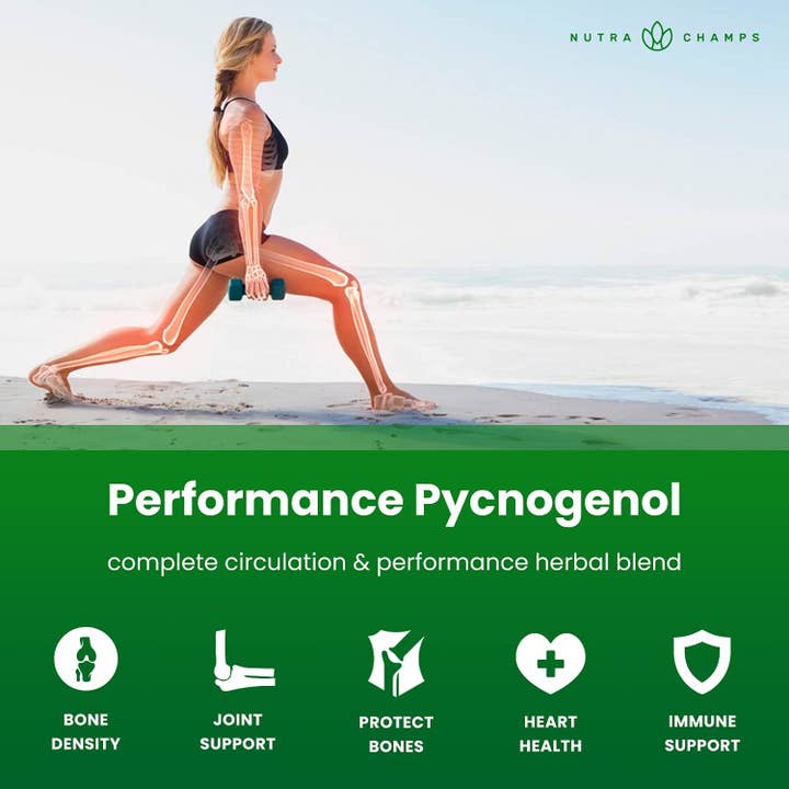 NutraChamps – wholesale Oral supplement/vitamin – Pycnogenol French Maritime Pine Bark Extract | Blood Flow