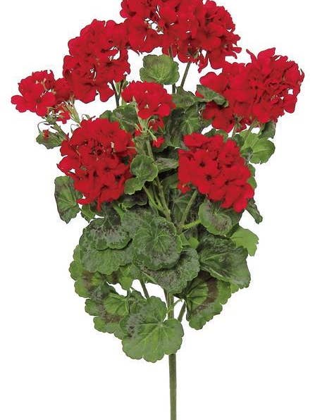 Geranium Bush X10, 24", Red for wholesale by Select Artificials, Inc.