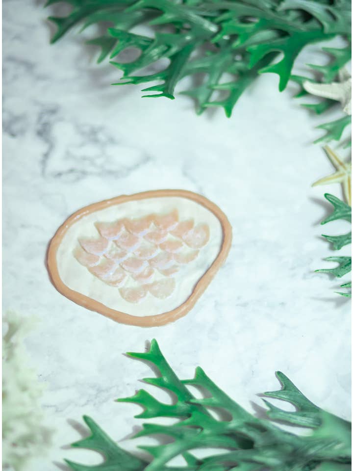 Costurero Real - Wholesale Costume - Unisex - Fish Scales Silicone Prosthetic - Mermaid Costume6