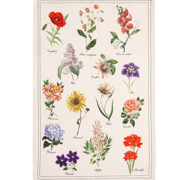 Herbier - Printed Tea Towel 50x75 in Half Linen for wholesale by Coucke