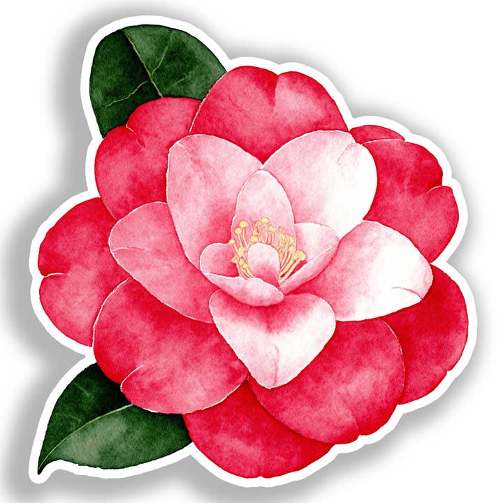 Camellia Flower Decal Sticker # A018904 for wholesale by Yoonek Graphics