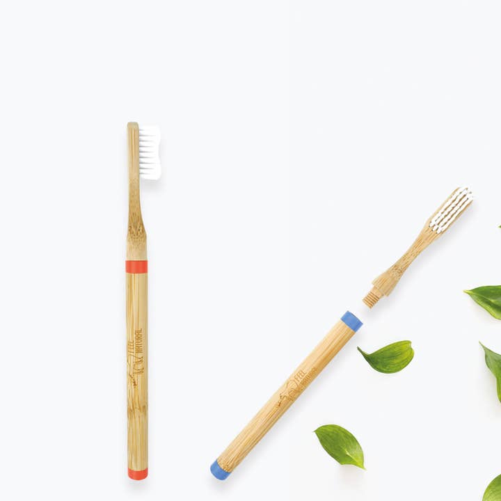 FRENCH TENDANCE - Wholesale Toothbrush - Screwable round toothbrush with flexible head
