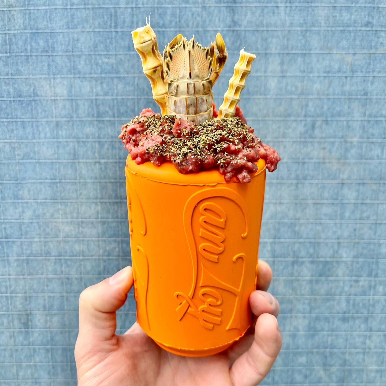 Rover Pet Products - Vente Jouet à mâcher – chien - Canette Toy4