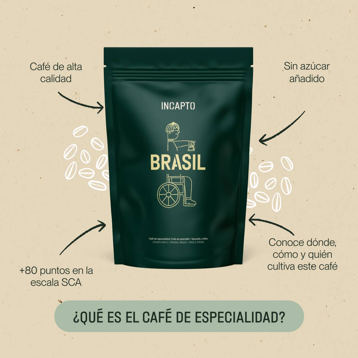 INCAPTO COFFEE - Wholesale Coffee Beans - Specialty Bean Coffee - WORLDWIDE Tasting Pack6