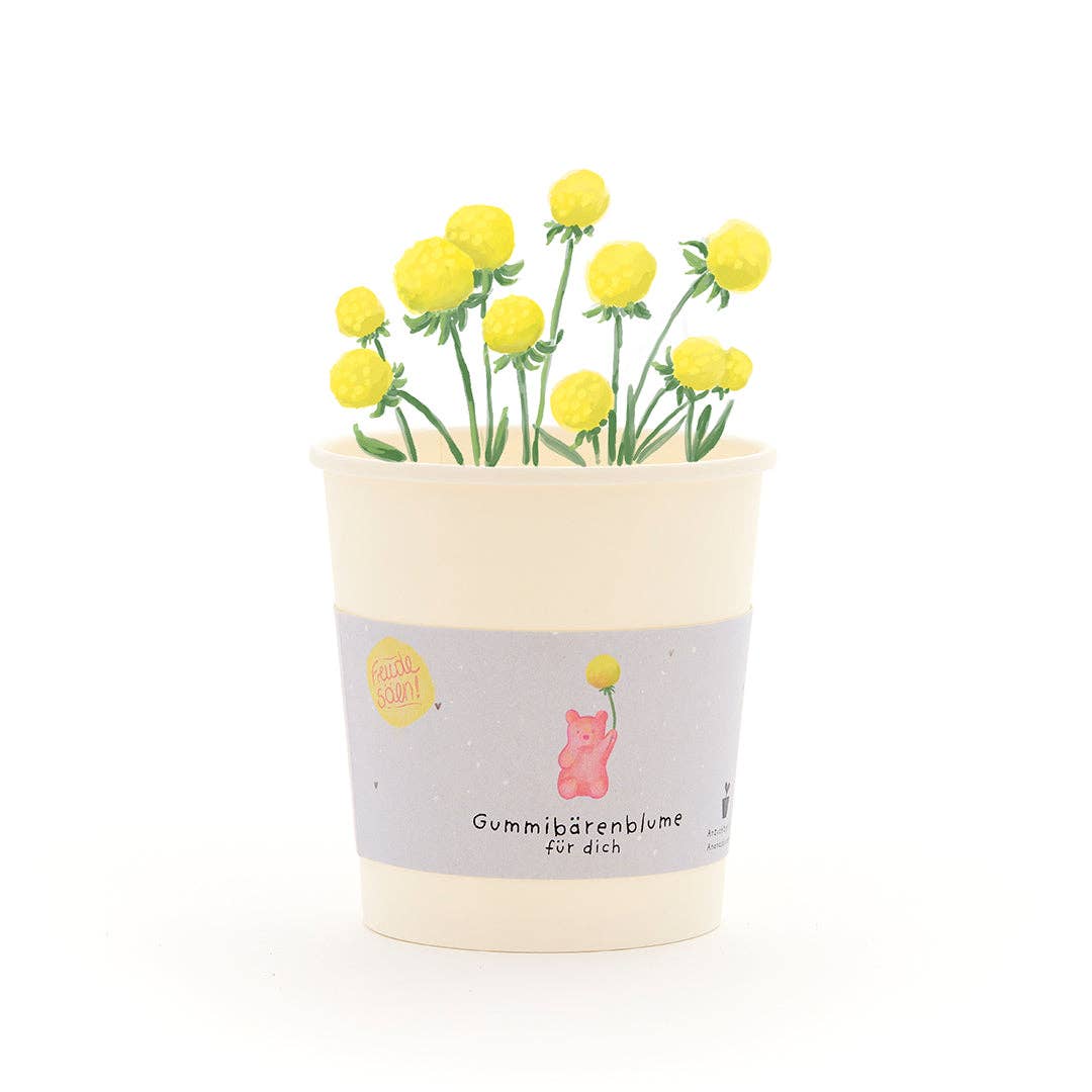 TDJ Stadtgärtner GmbH - Wholesale Plant Seeds - Gummy Bear Flower - Cup