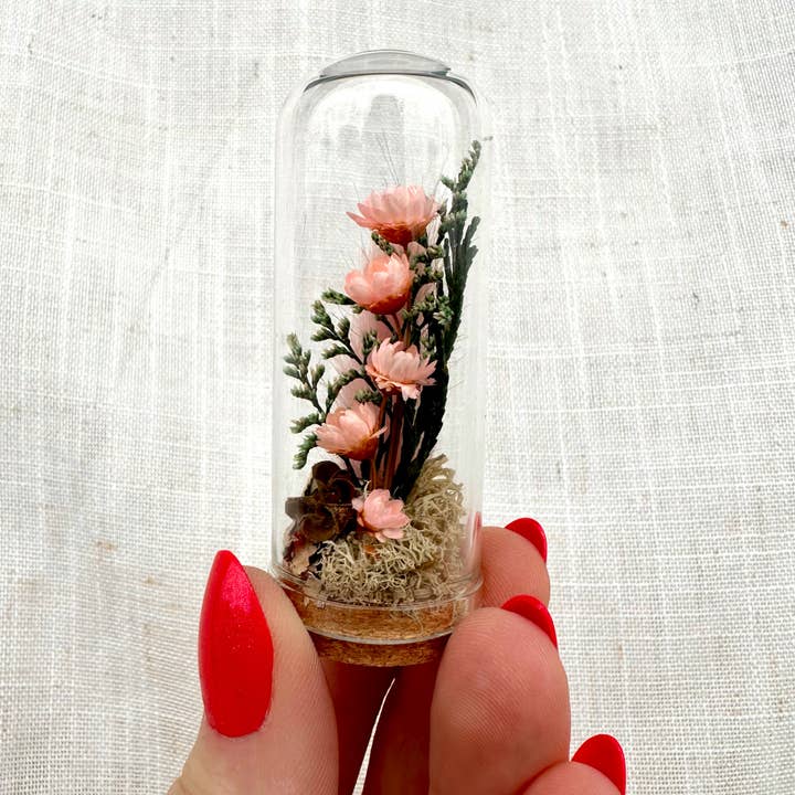 CA Studios - Wholesale Terrarium - Valentine Mix Mini Terrarium Floral Cloche Apothecary Jar3